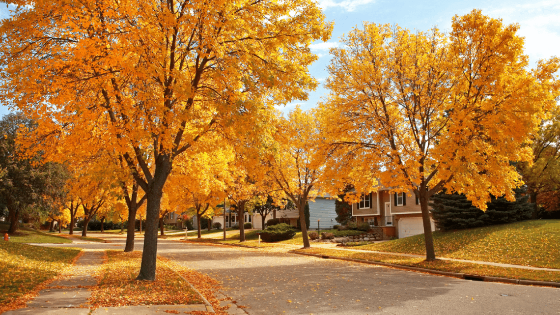 How Fast Are Homes Selling This Fall 2024?